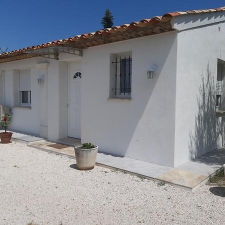 Villa Le coin des Oliviers à Puget-sur Argens Extérieur photo
