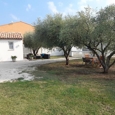 Villa Le coin des Oliviers à Puget-sur Argens Extérieur photo