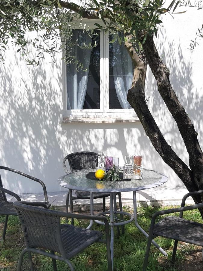 Villa Le coin des Oliviers à Puget-sur Argens Extérieur photo