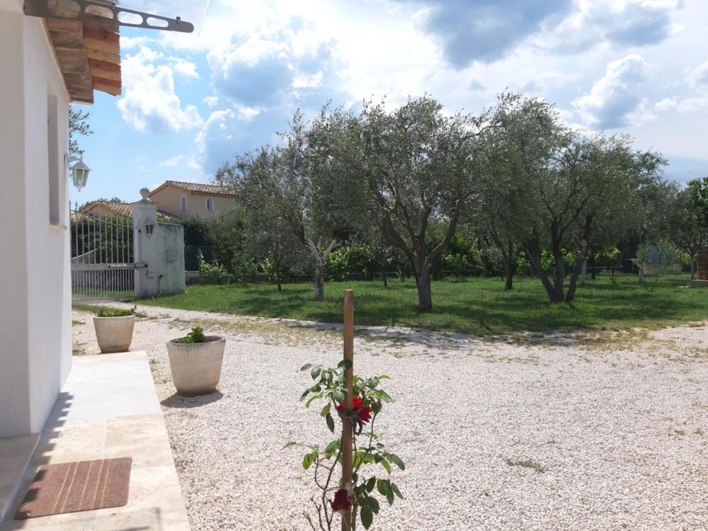 Villa Le coin des Oliviers à Puget-sur Argens Extérieur photo