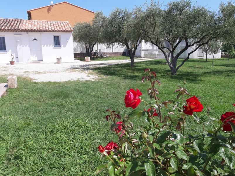 Villa Le coin des Oliviers à Puget-sur Argens Extérieur photo