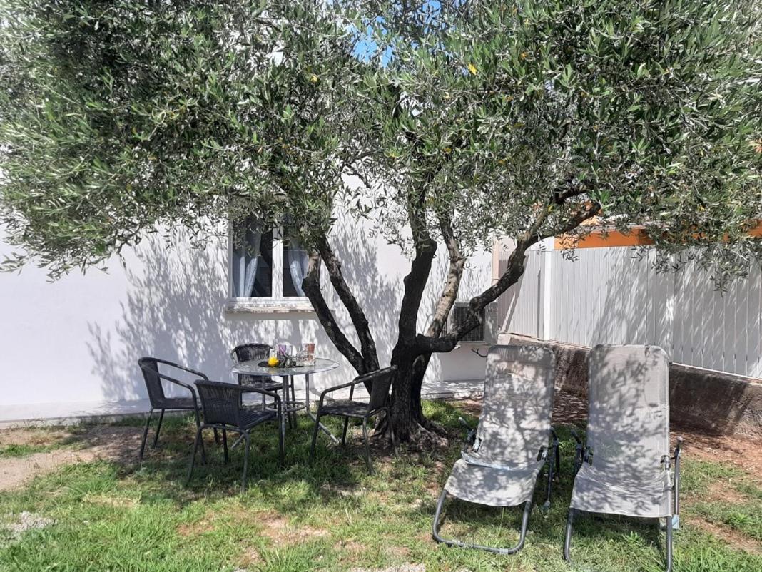 Villa Le coin des Oliviers à Puget-sur Argens Extérieur photo
