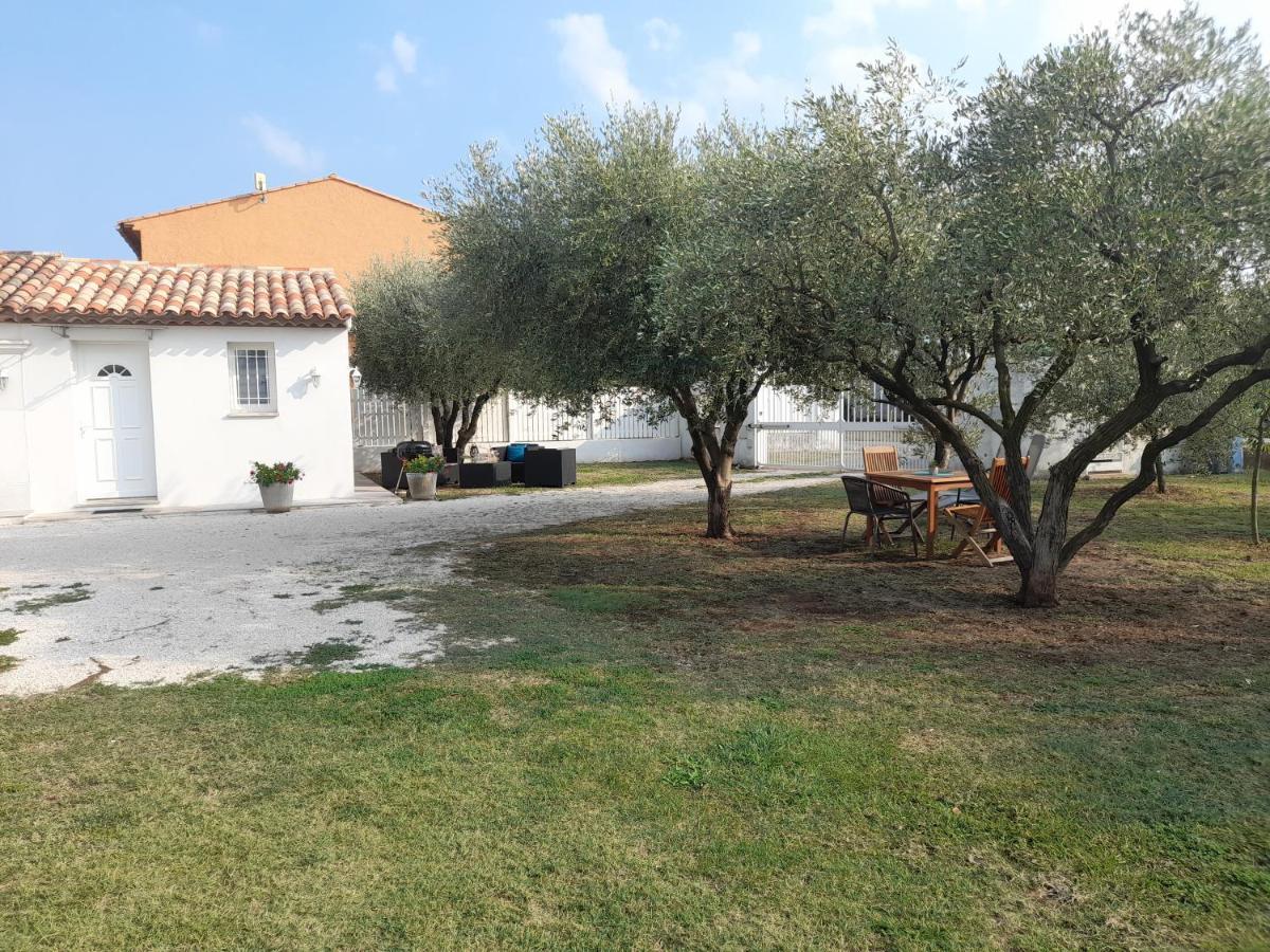 Villa Le coin des Oliviers à Puget-sur Argens Extérieur photo